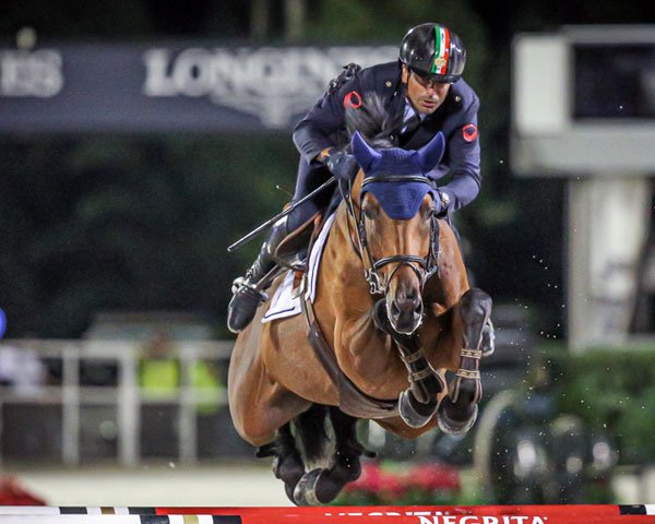 Affidare il cavallo a un cavaliere professionista cosa devi sapere prima di firmare